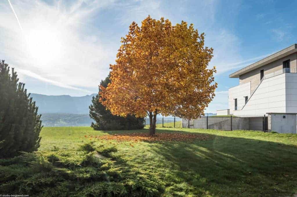 Maison d’Architecte, Villa contemporaine, Lac d’Annecy, Sevrier, Veyrier du lac, Talloire, Menthon Saint Bernard — Décoration - Archidomo